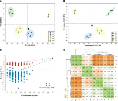 Effects of four diets on the metabolism of megalopa metamorphosis of the mud crab, Scylla paramamosain